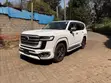 2023 Toyota Land Cruiser 300 ZX - 3