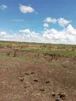 2000 Acres Farmland for Lease in Kiboko - 1