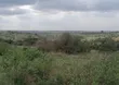 2000 Acres Farmland for Lease in Kiboko - 2