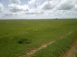 2000 Acres Farmland for Lease in Kiboko - 5