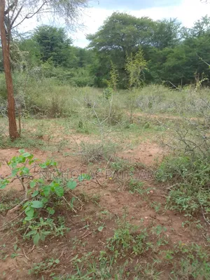 100 Acres Kajiado Kipini Land for Sale
