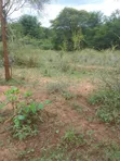100 Acres Kajiado Kipini Land for Sale - 1