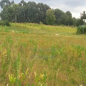 Eneo la Prime la Eka 10 kwa Ajili ya Kuuzwa Kasuku, Nyandarua