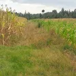 Eneo la Prime la Eka 10 kwa Ajili ya Kuuzwa Kasuku, Nyandarua - 2