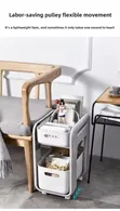 Multi-Purpose Pull-Out Organizer - Alp - 1