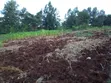 Eka 1 ya Kupimwa Inauzwa Kinoo - 3
