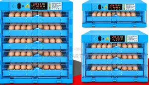 AC/DC Incubator ya Mayai - Uwezo wa Mayai 128