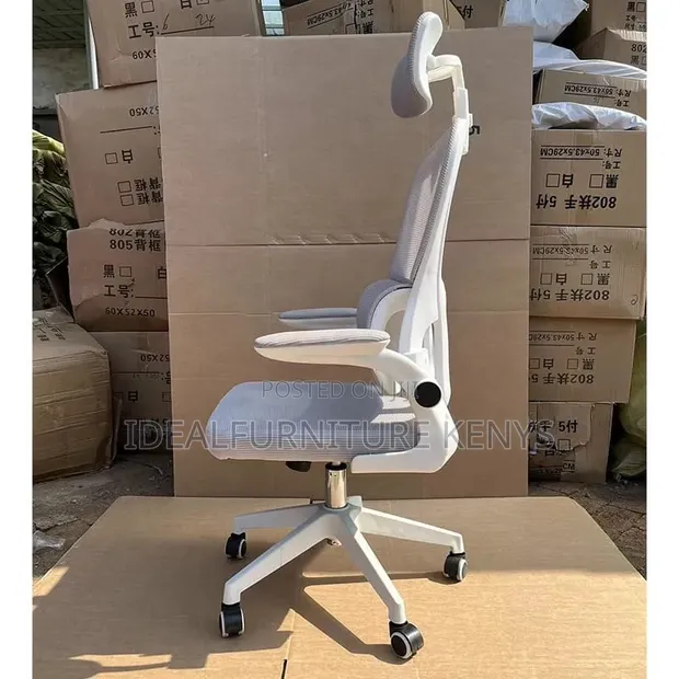 Kiti cha Ofisi cha Mesh Kijivu chenye Ergonomic na Headrest - 1