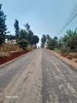Kitalu Bora cha Kuuzwa Karura - 1