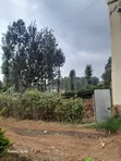 Kitalu Bora cha Kuuzwa Karura - 2