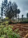 Kitalu Bora cha Kuuzwa Karura - 3