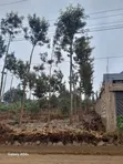 Kitalu Bora cha Kuuzwa Karura - 5