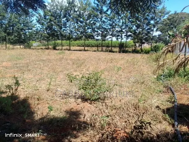 Kitalu cha 100x100 Kinauzwa Mwea Kiamanyeki - 1