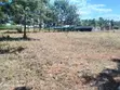 Kitalu cha 100x100 Kinauzwa Mwea Kiamanyeki - 2