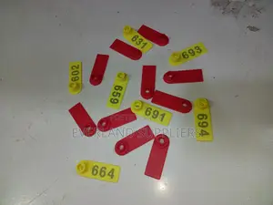 Masikio ya Kisasa