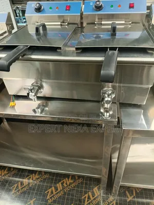 Double Electric Fryer