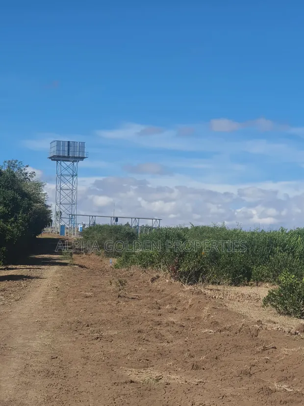 1 Acre Land for Sale in Nanyuki - 1