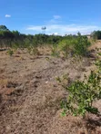 1 Acre Land for Sale in Nanyuki - 2