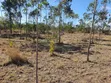 1 Acre Land for Sale in Nanyuki - 3