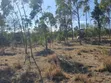 1 Acre Land for Sale in Nanyuki - 4