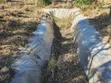 1 Acre Land for Sale in Nanyuki - 5