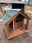 Roomy Dog Kennel - Brand New - 2