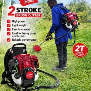 Premier 2-in-1 Brush/Grass Cutter ya Mgongoni