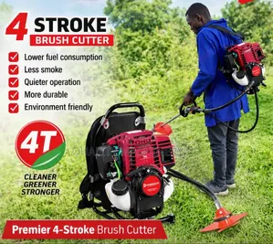 Kikata Majani cha Ubora Premier 4-Stroke cha Mgongoni