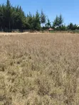 Kiwanja Karibu na Mjini Nanyuki - 2