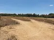 Kiwanja Karibu na Mjini Nanyuki - 3