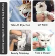 Cat Anti-Bite Muzzle Hood - 2