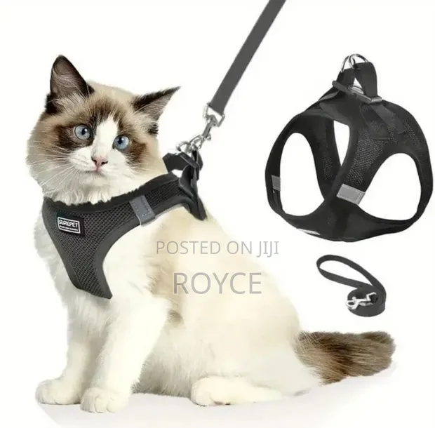 No Pull Cat Harness and Leash Set - 1