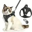 No Pull Cat Harness and Leash Set - 1