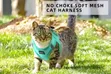 No Pull Cat Harness and Leash Set - 3