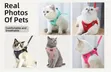 No Pull Cat Harness and Leash Set - 4