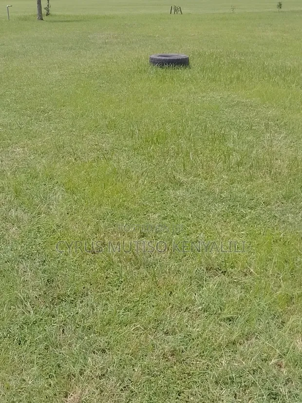Landscaping Services - 1