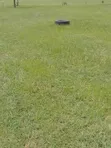 Landscaping Services - 1