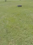 Landscaping Services - 2