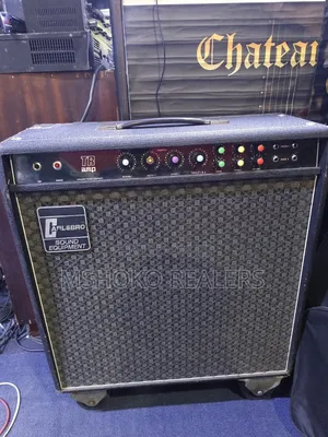 Lead Combo Twin Amp - Used
