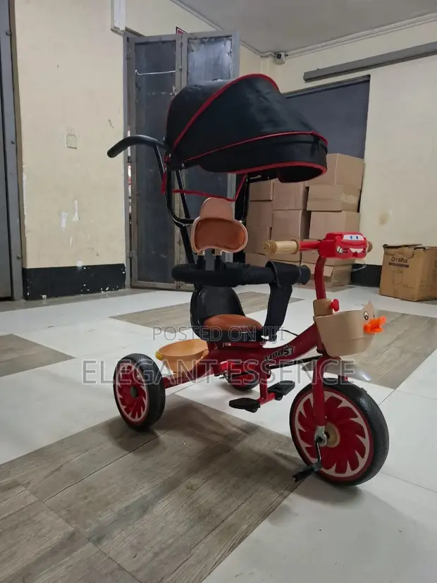 Baby Tricycle with Canopy, Musical, Leather Bar - 1