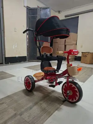 Baby Tricycle with Canopy, Musical, Leather Bar