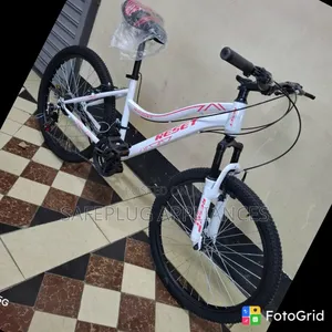 24-Inch Bicycle - Stylish, Strong, Comfortable Ride