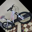 24-Inch Bicycle - Stylish, Strong, Comfortable Ride - 2