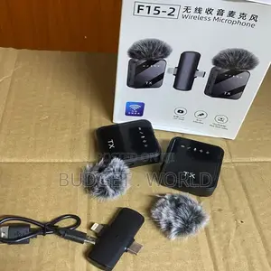 F15-2 Wireless Professional Microphone for Stage Recording