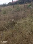 Old Kitisuru 2 Acres for Development - 1