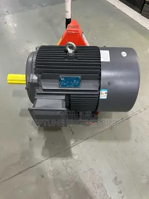 30HP Three Phase Induction Motor