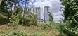 100x100 Plot for Lease in Kabete Kibichiku, Kiambu - 3