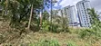 100x100 Plot for Lease in Kabete Kibichiku, Kiambu - 4