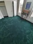 Modern Wall-to-Wall Carpets for Homes & Offices - 2