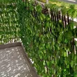 Instant Green Leaf Skrini Bandia ya Faragha - 1